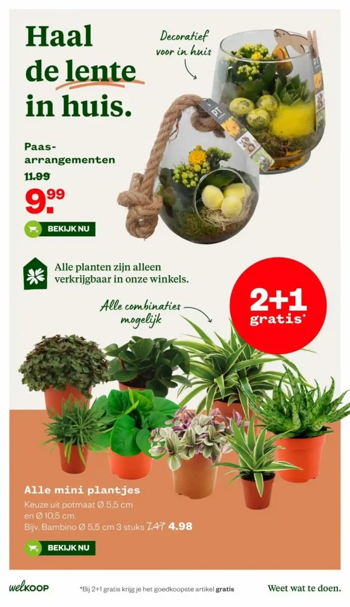 Welkoop folder – pagina 9