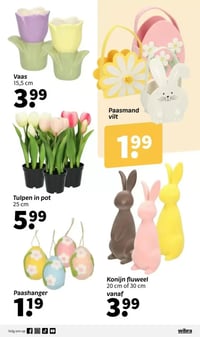 Konijn fluweel aanbieding bij Wibra – geldig van 02.03.2026 t/m 15.03.2026