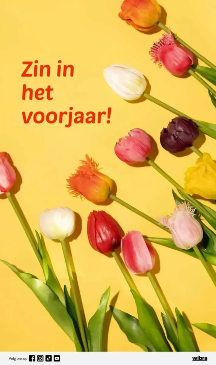 Wibra folder – pagina 10