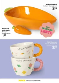 Mok bloemen aanbieding bij Xenos – geldig van 22.02.2026 t/m 06.04.2026