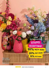 Alle vazen aanbieding bij Xenos – geldig van 26.01.2026 t/m 08.02.2026