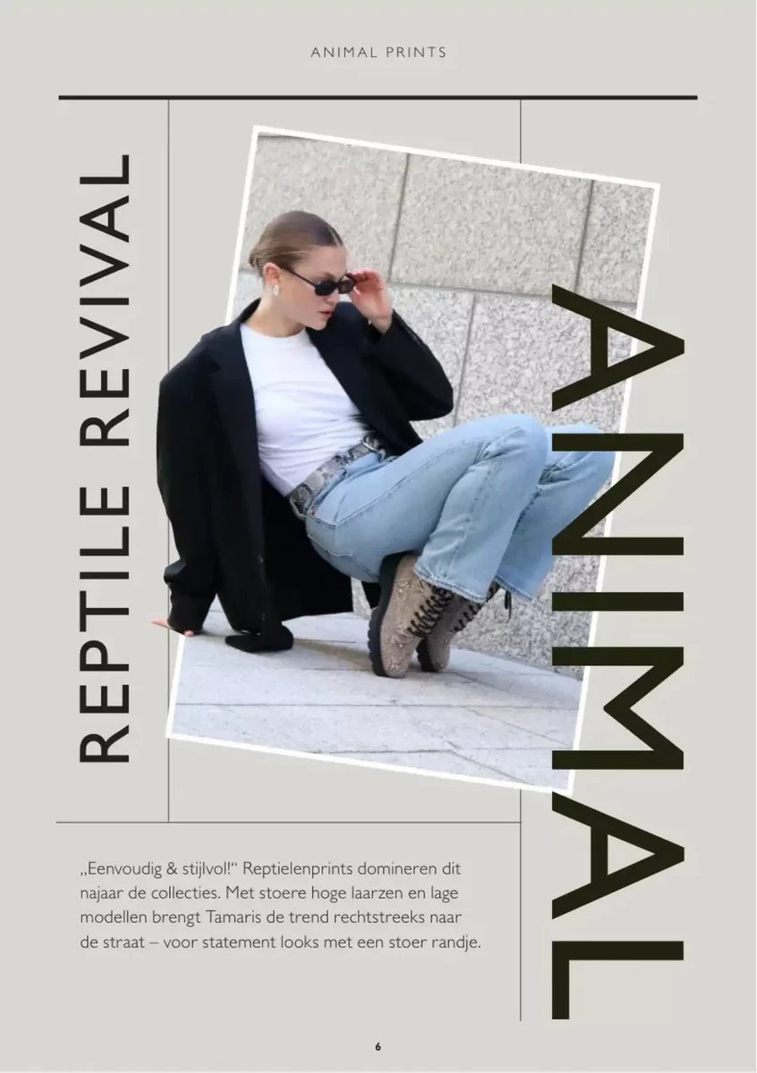 Ziengs folder – pagina 6